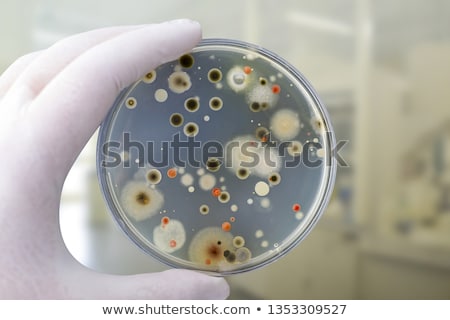 Stock fotó: Different Microbes Bacterias Microscopic World