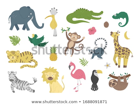 Foto stock: Vector Flat Cartoon Animal Clip Art