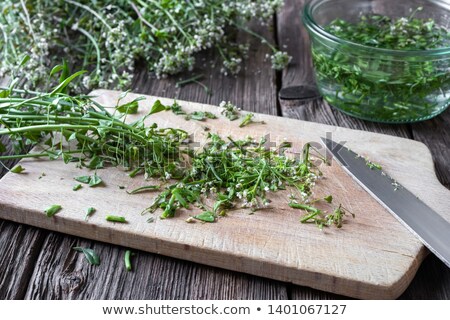 [[stock_photo]]: Preparation Of Shepherds Purse Tincture In A Jar