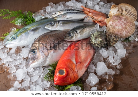 Stockfoto: Fresh Fish