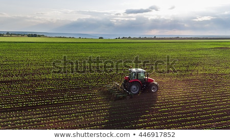 ストックフォト: Tractor Plowing Field