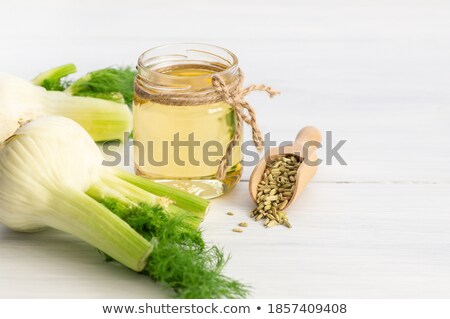 ストックフォト: Fennel Herbs