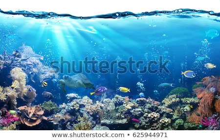 Foto stock: Underwater Scene Background