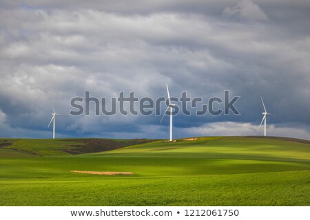 [[stock_photo]]: oliennes · sur · Grass · Field · Ciel · dramatique · et · nuages