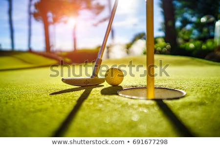 Foto stock: Mini Golf Yellow Ball With A Bat Near The Hole At Sunset