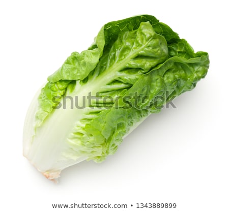 Foto d'archivio: Mini Romaine Lettuce Salad