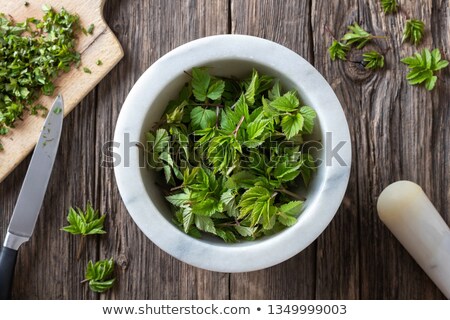 Foto stock: Young Ground Elder Leaves In A Mortar Top View