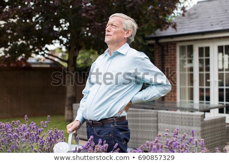 Сток-фото: Senior Man Suffering From Back Pain Whilst Gardening