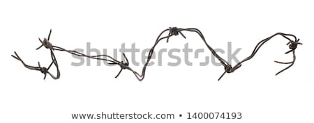 [[stock_photo]]: Rusty Barbed Wire