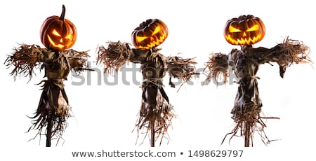 Stok fotoğraf: Scarecrow