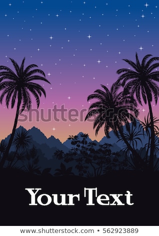 Stockfoto: Tropical Evening View