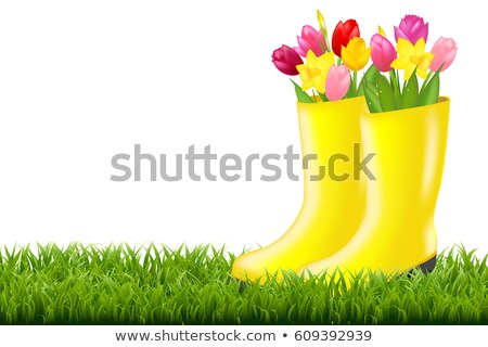 Stock fotó: Gumboot With Green Grass And Tulips