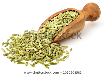 Stock photo: Fennel Seeds