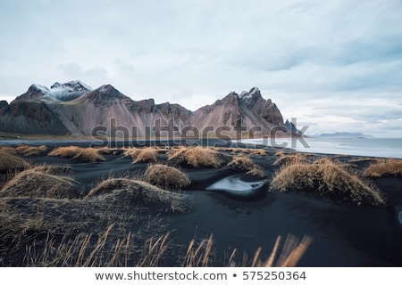 Zdjęcia stock: Ice On The Beach With Black Sand In Iceland