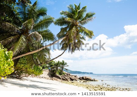 Foto stock: Scenic View Of Anse Baleine Beach Mahe Island Seychelles