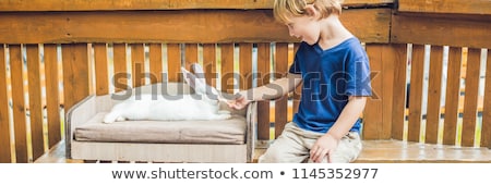 Imagine de stoc: Toddler Boy Caresses And Playing With Rabbit In The Petting Zoo Concept Of Sustainability Love Of