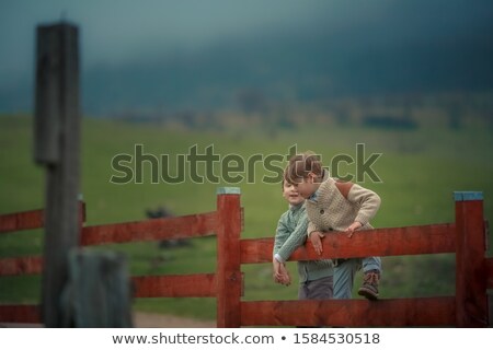 Foto d'archivio: Two Boys 6 7 Years Old Sit On A Wooden Fence In The Village