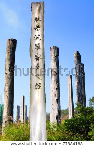 Stockfoto: Wisdom Path Of Heart Sutra - Chinese Prayer On Trunks Under Blue