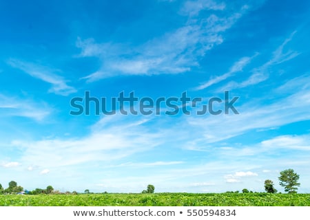 Stockfoto: Green Landscape With Blue Sky