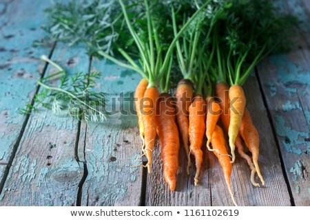 ストックフォト: Fresh Garden Carrots