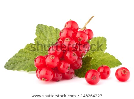 Foto stock: Red Currants And Green Leaves Still Life