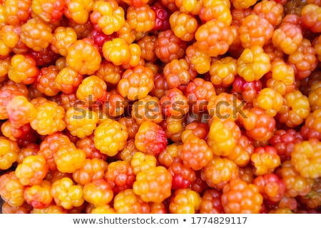 Foto stock: Cloudberries