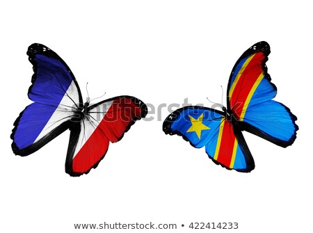 [[stock_photo]]: France And Congo Flags