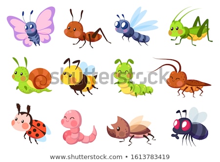 [[stock_photo]]: Butterfly And Bugs