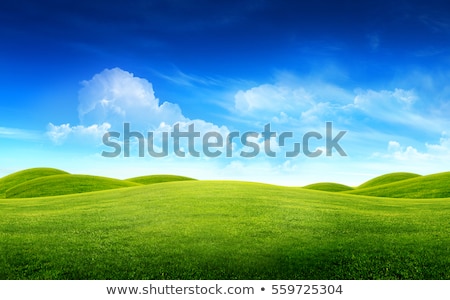 Stockfoto: Green Grass Field And Blue Sky