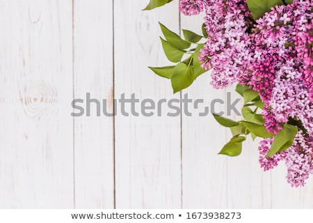 Foto stock: Lilac On Wooden Background