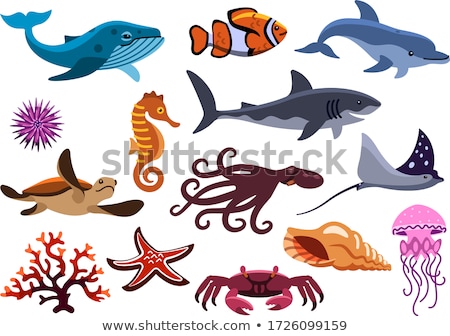 Stock foto: Set Of Sea Creature