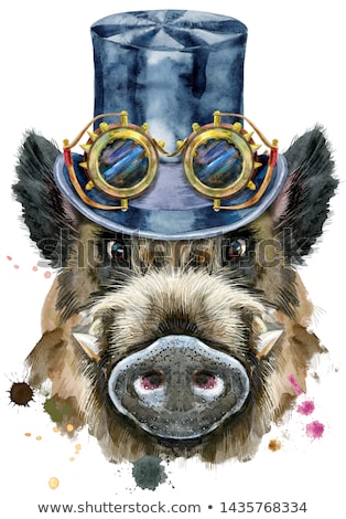 [[stock_photo]]: Watercolor Portrait Of Wild Boar With Black Hat Topper And Steampunk Glasses