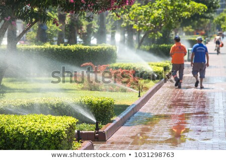 Сток-фото: Automated Water Sprinklers