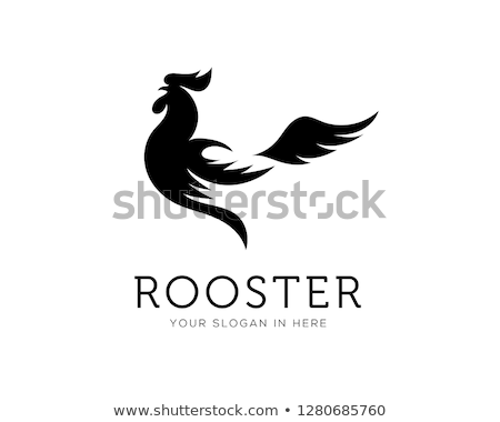 Stok fotoğraf: Cock Rooster Is Crowing