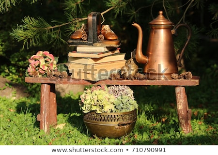 Stockfoto: Baby Shoe Bookends