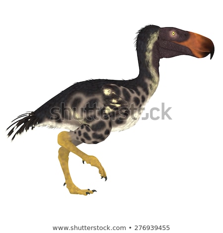 Stock fotó: Kelenken - Prehistoric Terror Bird