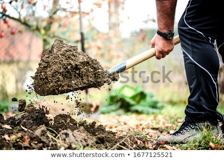 ストックフォト: Garden Spade With Soil