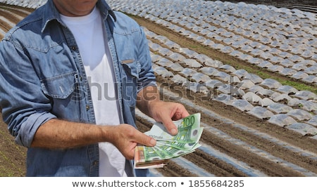 Stock fotó: Cultivating Euro