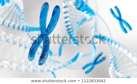 Foto stock: Chromosome