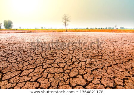 Stockfoto: Gloden Brown Dry Land With Trees