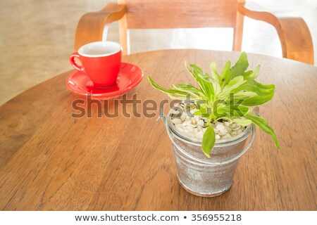 Red Cup Of Coffee And Green Plant Bucket On Wooden Table Stock foto © nalinratphi