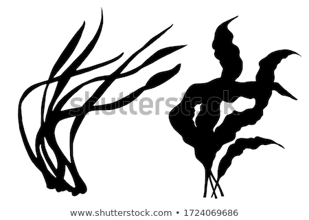 Stockfoto: Seaweed Foliage Marine Set Vector Illustration