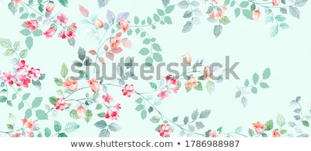 Zdjęcia stock: Orchid Flower In Bloom Abstract Floral Blossom Art Background