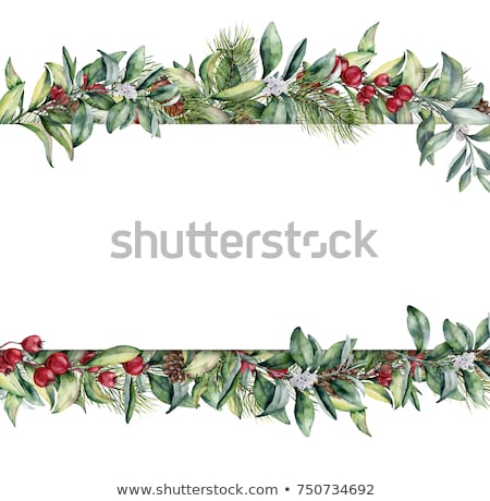 Zdjęcia stock: Christmas Foliage Ribbon Frame