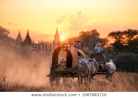 ストックフォト: Landscape In Myanmar