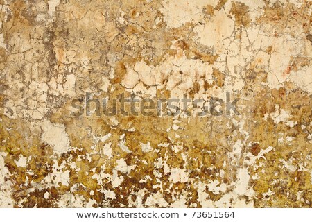 Nasty Old Cracked Paint On Wall Stockfoto © pzAxe