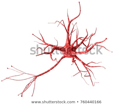 Stok fotoğraf: 3d Rendering Illustration Of Neurons