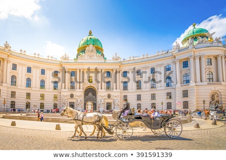 Foto d'archivio: Hofburg Palace Vienna Austria