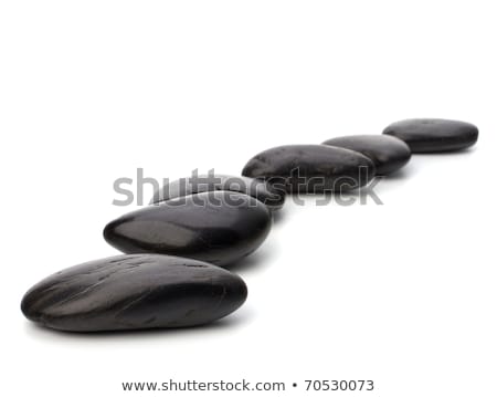 Stockfoto: Zen Pebbles Path Spa And Healthcare Concept