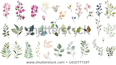 [[stock_photo]]: Flowers Set